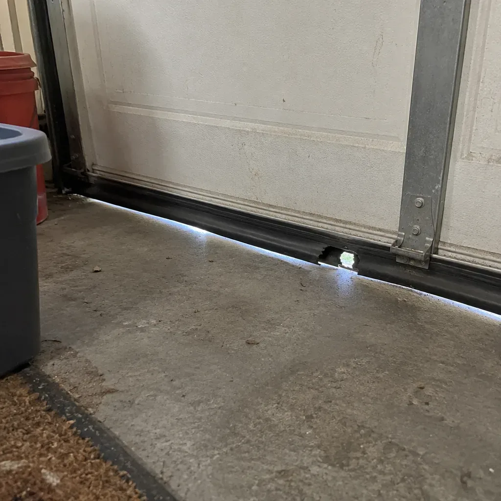 Rodent control methods in Dearborn, MI